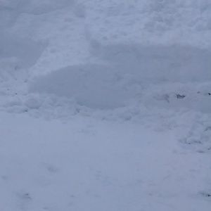 Meet your Posher, Angel